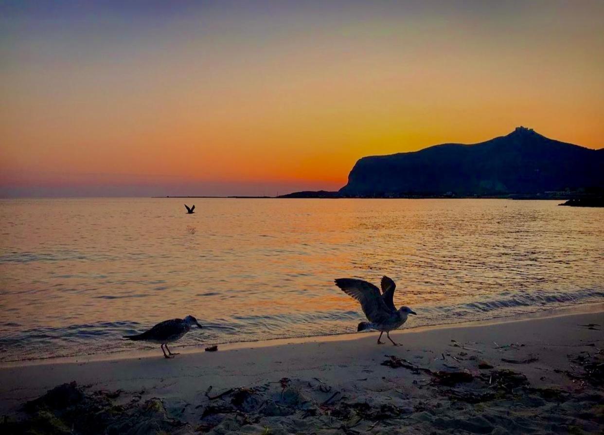 Bed and Breakfast Stabilimento Lido Burrone Favignana Esterno foto